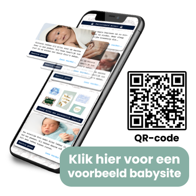 Voorbeeld Babysite