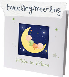 Tweeling of meerling geboortegedichtjes en geboorteteksten.