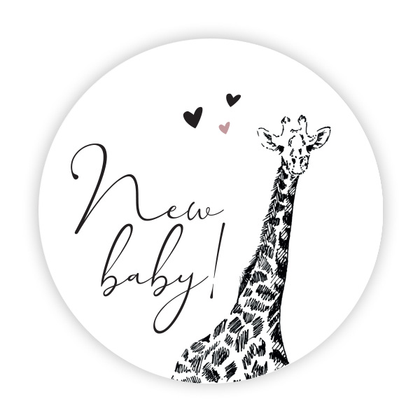 New Baby met giraffe