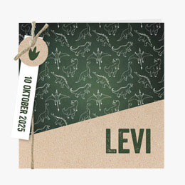 Stoere geboortekaartjes