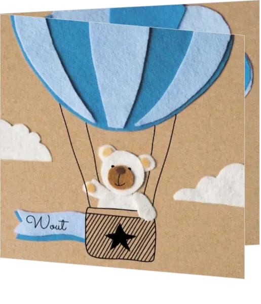 Wout - Beertje in blauwe luchtballon