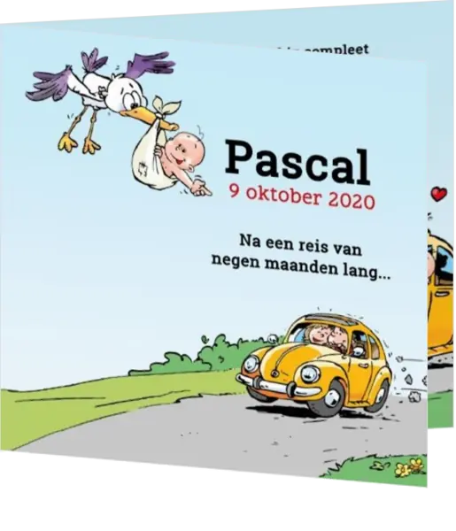 Pascal - Ooievaar bezorgt baby