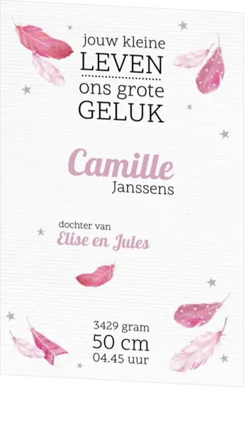 Camille - Roze veertjes
