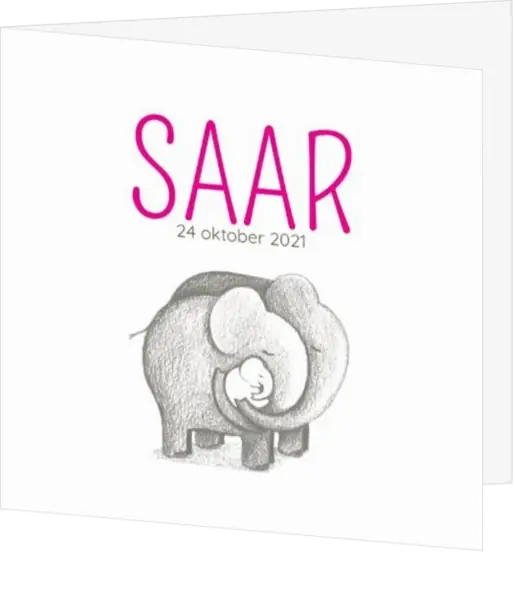 Saar - Familie olifant