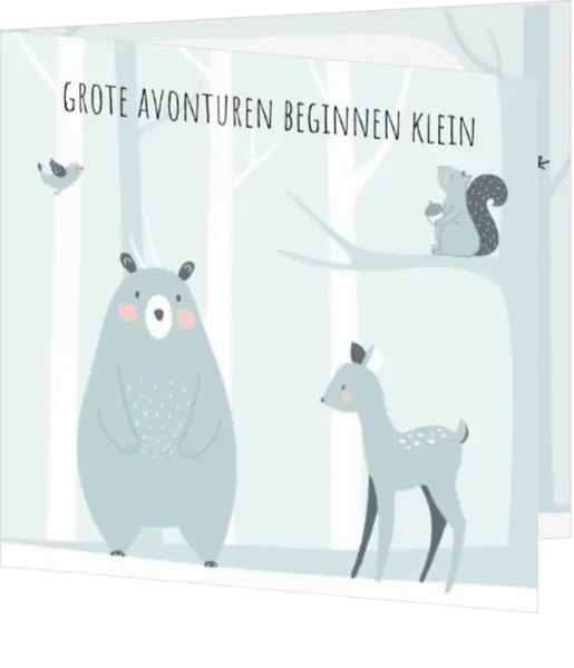 Geboortekaart Olivier - Grote avonturen