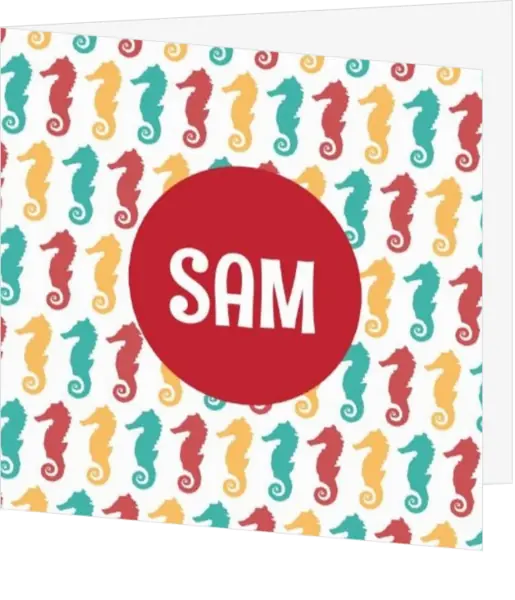 Sam - Zeepaardjes