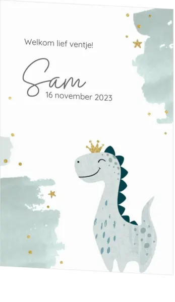Geboortekaartje Sam - Dino Prinsje
