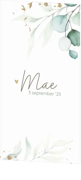 Geboortekaartje Mae - Waterverf takjes