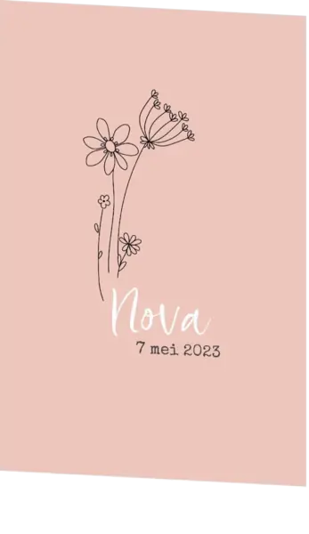 Nova - Lijntekening bloemen
