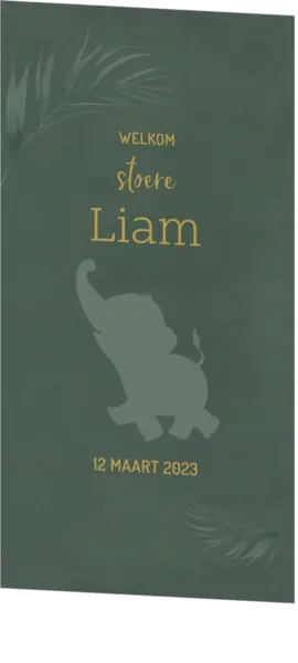 Geboortekaart Liam - Olifant in de jungle