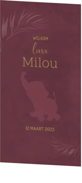 Geboortekaart Milou - Olifant in de jungle