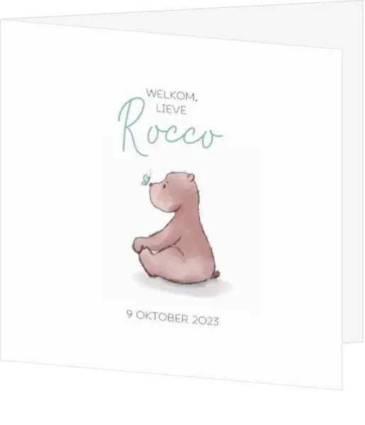Geboortekaartje Rocco - Beertje met vlindertje