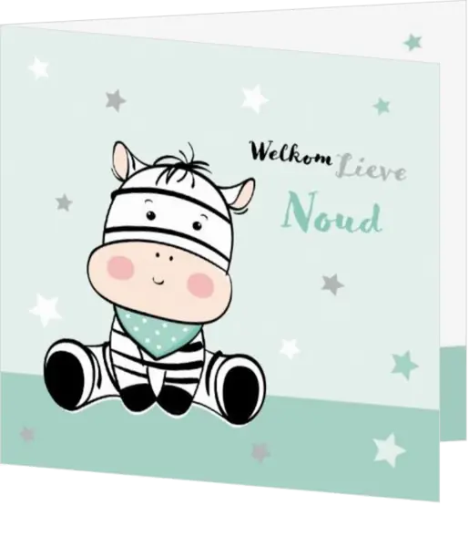 Geboortekaart Noud - Schattige baby zebra
