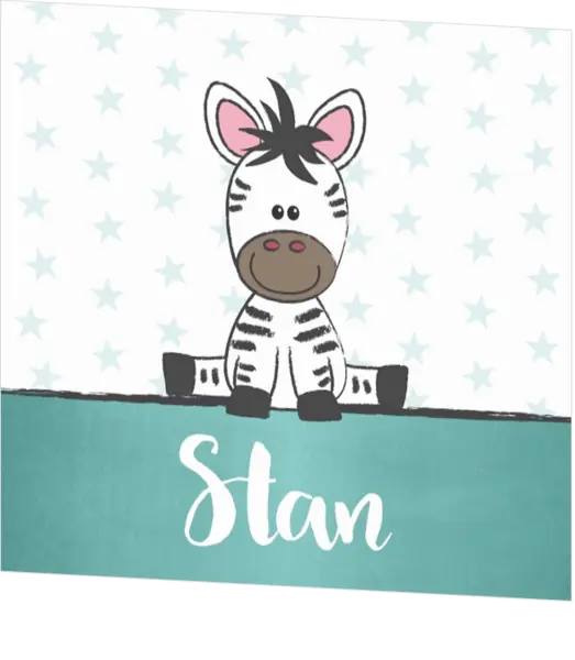 Poster 3 lief zebraatje jongen