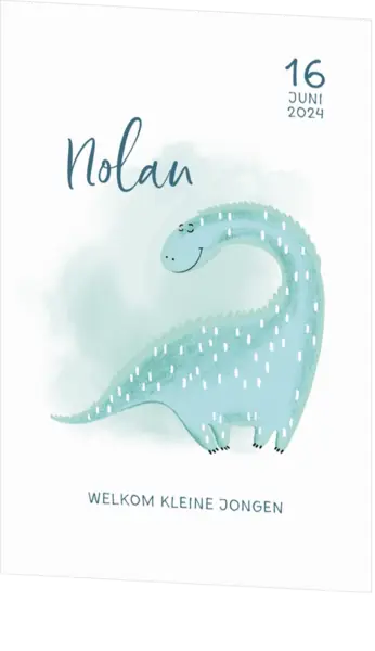 Geboortekaartje Nolan - Dino