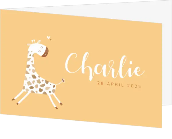 Geboortekaartje Charlie - Vrolijk girafje