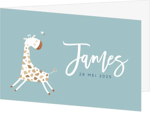 Geboortekaartje James - Grappig girafje