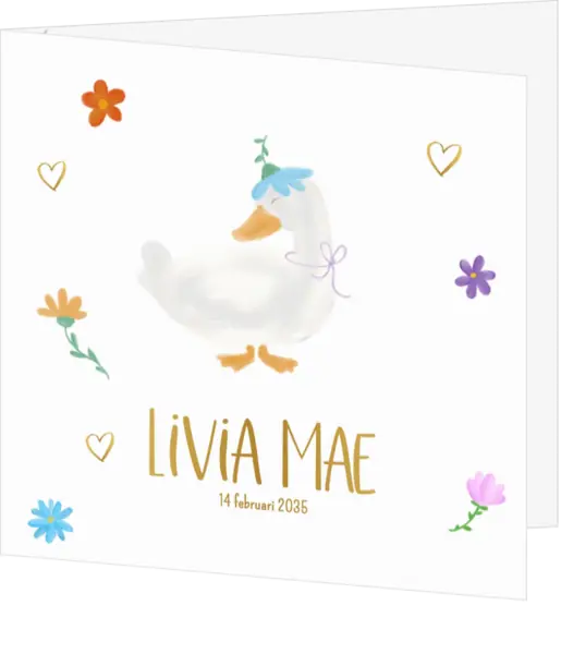 Vrolijke geboortekaart Livia Mae