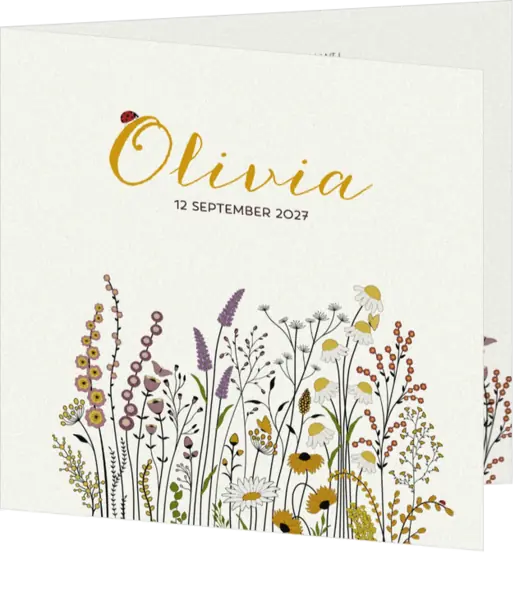 Wilde bloemen en insecten