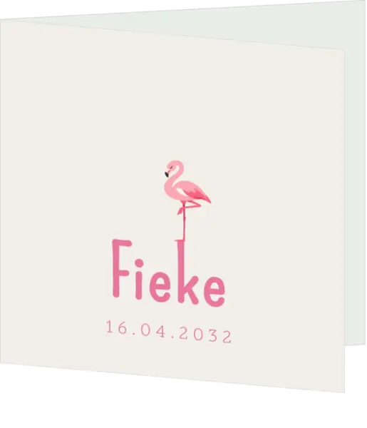 Fris geboortekaartje met getekende flamingo