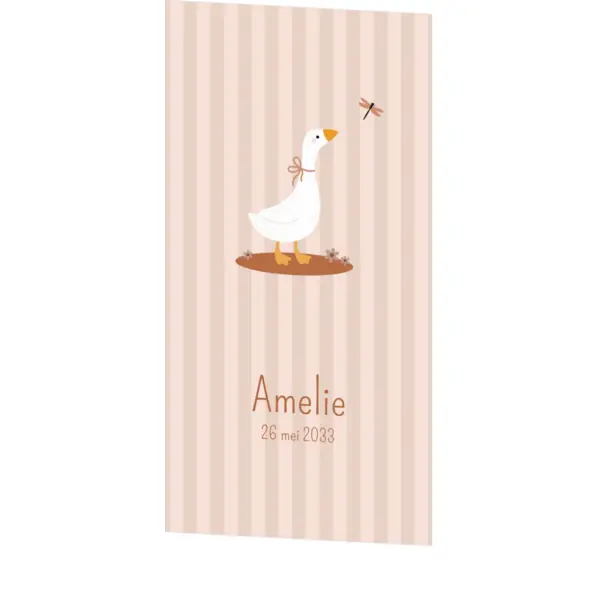 Schattig geboortekaartje voor een meisje met lief gansje