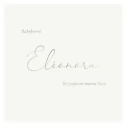 Kraamborrel Eléonora met zilverfolie