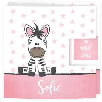 Lief geboortekaartje met zebra en sterren