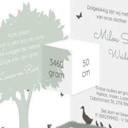 Geboortekaart silhouet grote broers kinderwagen stans