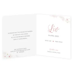 Geboortekaart Liv - Velvet textuur