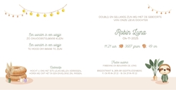 Robin - Babykamer