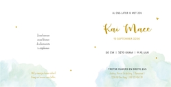 Hip blauw watercolor geboortekaartje met silhouet van zus en boom