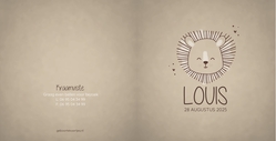 Geboortekaart Louis - Leeuwtje