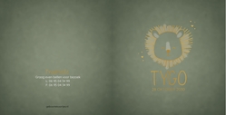 Geboortekaart Tygo - Gouden Leeuwtje