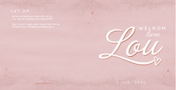 Geboortekaart Lou - Rose schaduw