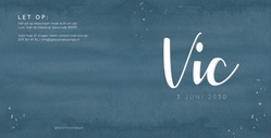 Geboortekaart Vic - Zilveren schaduw