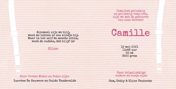 Camille - Babypakje meisje