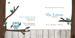 Vic - Blauw zwaaiend uiltje