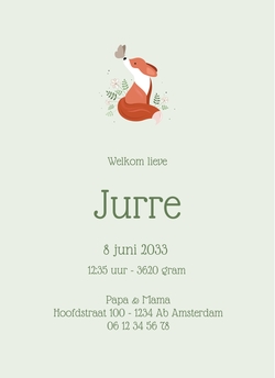 Lief geboortekaartje voor een jongen vosje en vlinder