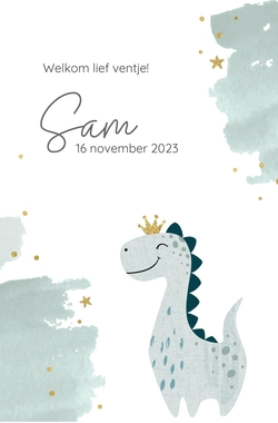 Geboortekaartje Sam - Dino Prinsje