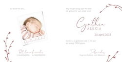 Geboortekaart Cynthia - Takjes