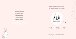 Liv - Konijntje met stipjes roze