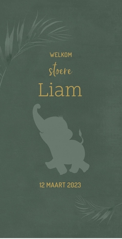 Geboortekaart Liam - Olifant in de jungle