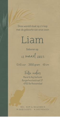 Geboortekaart Liam - Olifant in de jungle