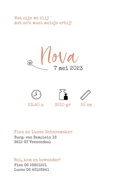 Nova - Lijntekening bloemen