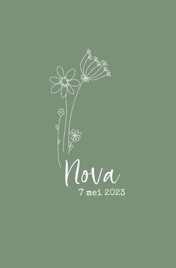 Geboortekaartje Nova - Lijntekening bloemen wit