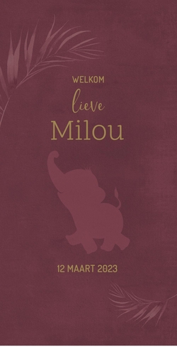 Geboortekaart Milou - Olifant in de jungle