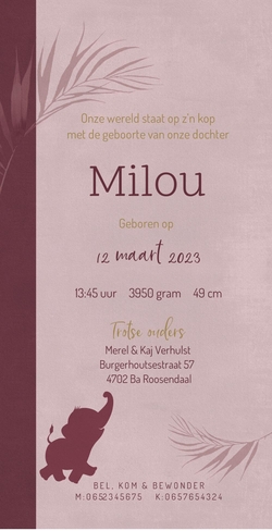 Geboortekaart Milou - Olifant in de jungle