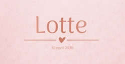 Geboortekaart roze met naam in rosefolie