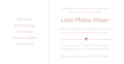 Geboortekaart roze met naam in rosefolie