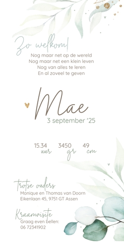 Geboortekaartje Mae - Waterverf takjes